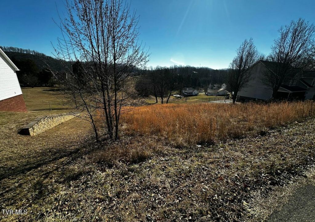 Photo of Tbd Clearwater Drive, Kingsport, TN 37664 (MLS # 9982826)