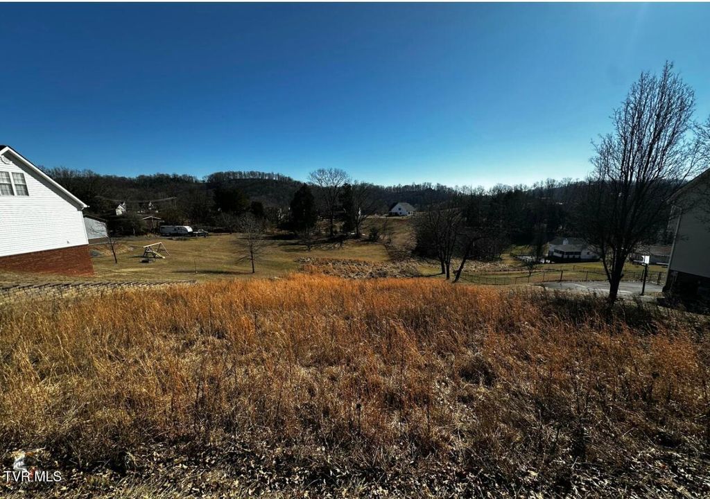 Photo of Tbd Clearwater Drive, Kingsport, TN 37664 (MLS # 9982826)