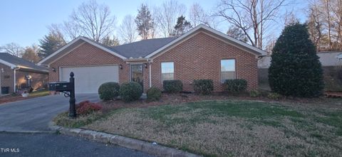 Photo of 309 Bowie Court, Church Hill, TN 37642 (MLS # 9990198)