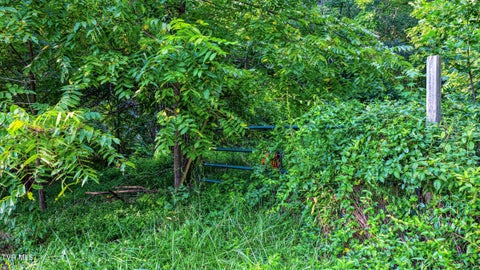 Vacant Land For Sale - 632 Cherokee Street<br/> Jonesborough, TN 37659