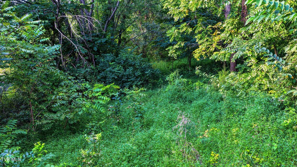 Photo of 632 Cherokee Street, Jonesborough, TN 37659 (MLS # 9999825)