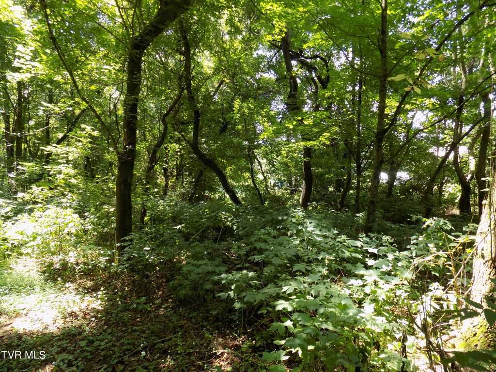 Photo of 000 Timberlake Circle, Rogersville, TN 37857 (MLS # 9988876)
