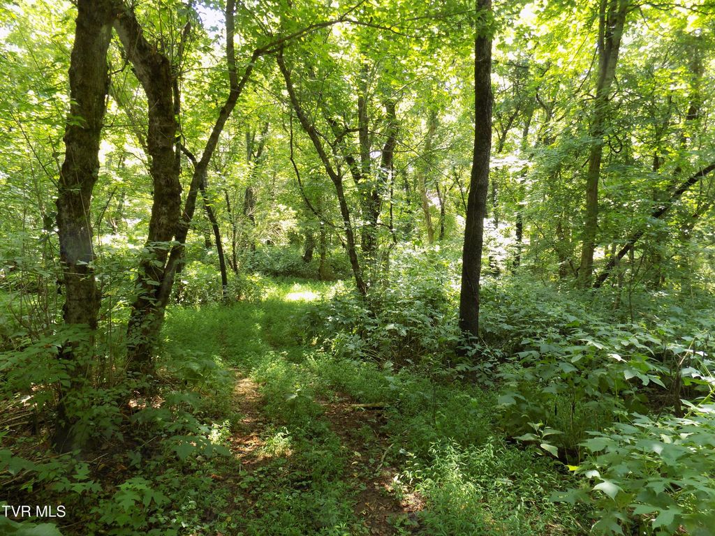 Photo of 000 Timberlake Circle, Rogersville, TN 37857 (MLS # 9988876)