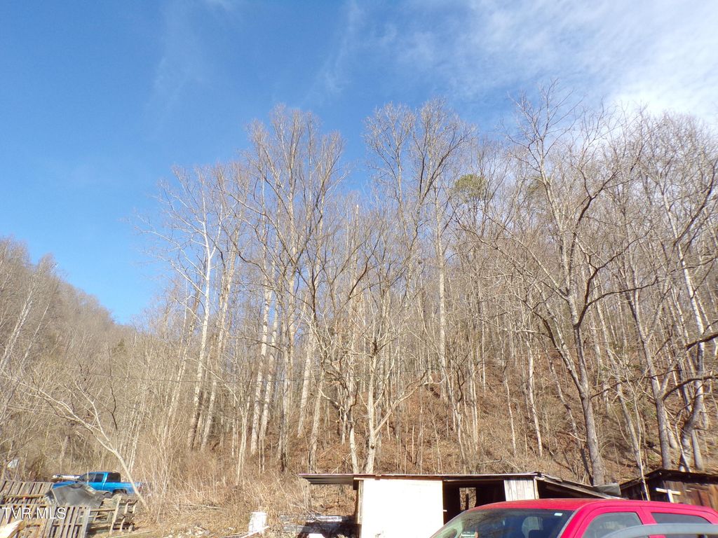 Photo of 132 Marigold Drive, Saint Charles, VA 24282 (MLS # 9989915)