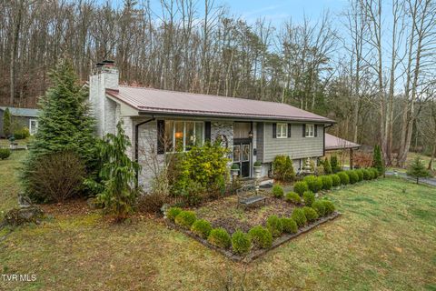 405 Beidleman Creek Road Bristol TN 37620