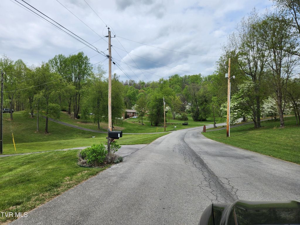 Photo of 345 Greentree Drive, Blountville, TN 37617 (MLS # 9993964)