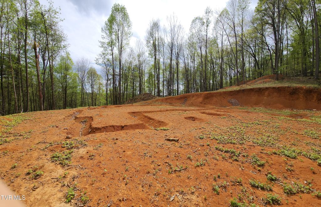 Photo of 345 Greentree Drive, Blountville, TN 37617 (MLS # 9993964)