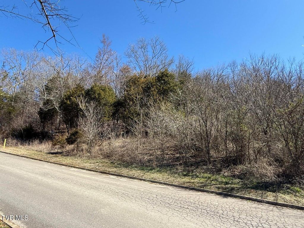 Photo of 62 Secluded River Circle, Parrottsville, TN 37843 (MLS # 9989510)