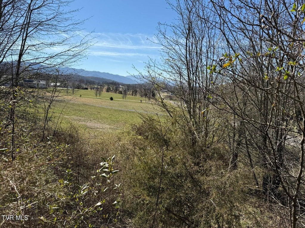 Photo of 62 Secluded River Circle, Parrottsville, TN 37843 (MLS # 9989510)