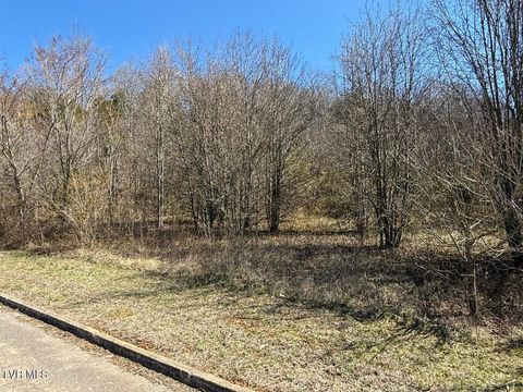 Vacant Land For Sale - LOT 62 Secluded River Circle<br/> Parrottsville, TN 37843