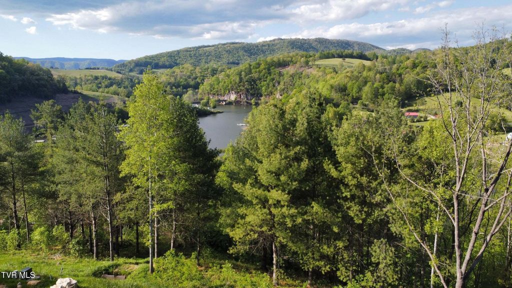 Photo of 20 Cowan Town Road, Butler, TN 37640 (MLS # 9991308)