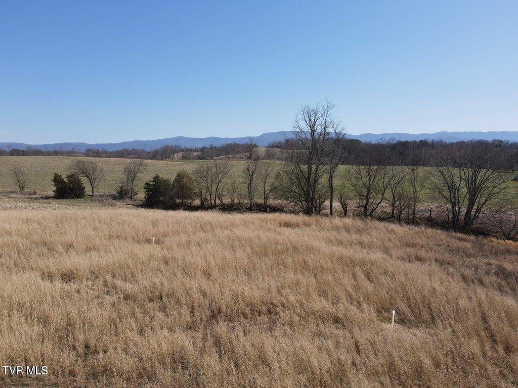Photo of 3 River Village Ln, Afton, TN 37616 (MLS # 9990178)