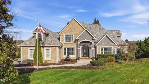 Photo of 122 Chestnut Ridge Drive, Jonesborough, TN 37659 (MLS # 9992671)