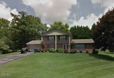 Photo of 1511 Valiant Drive, Greeneville, TN 37745 (MLS # 9995803)