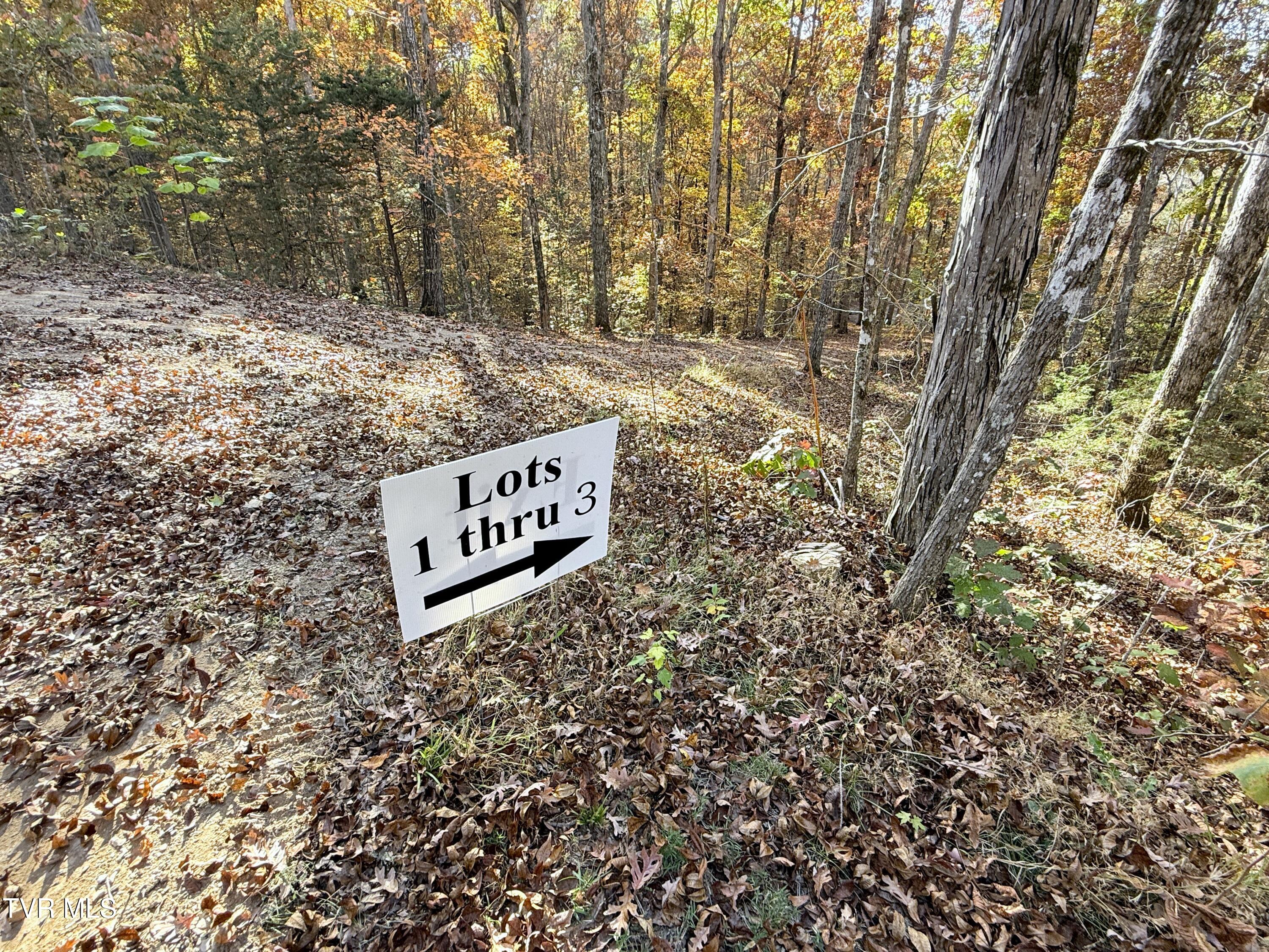 Tracts 1-3 Topaz Way, Parrottsville, Tennessee image 1