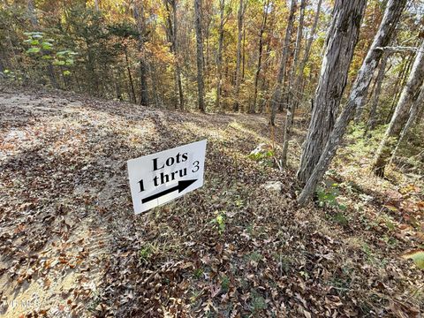 Vacant Land For Sale - TRACTS 1-3 Topaz Way<br/> Parrottsville, TN 37843