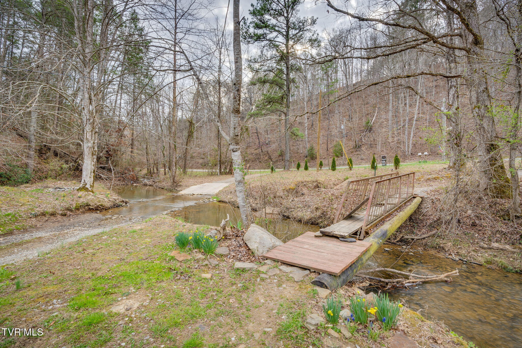 226 Pressmans Home Road, Rogersville, Tennessee image 24