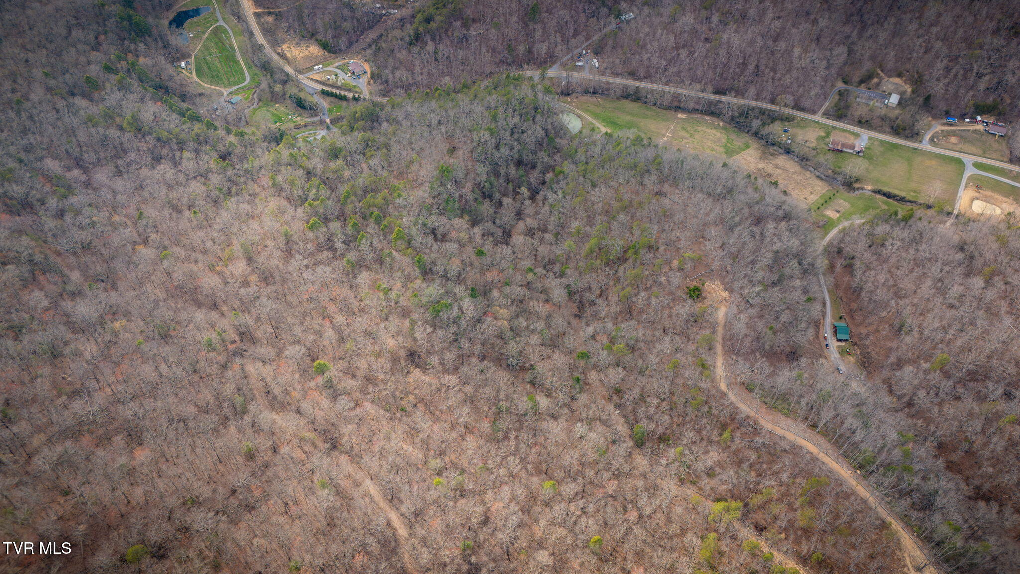 226 Pressmans Home Road, Rogersville, Tennessee image 35