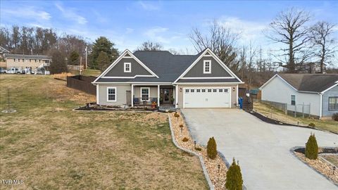 Photo of 994 Boones Creek Road, Jonesborough, TN 37659 (MLS # 9990495)