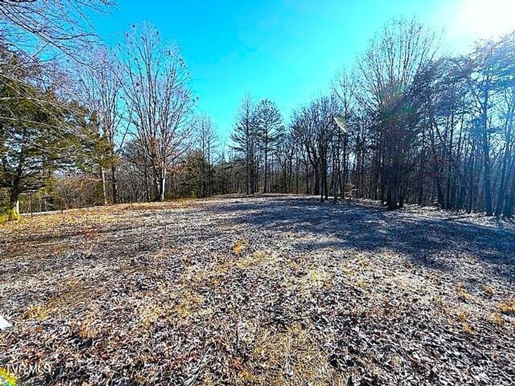 Photo of 15 Under The Sun Road, Cosby, TN 37722 (MLS # 9990718)