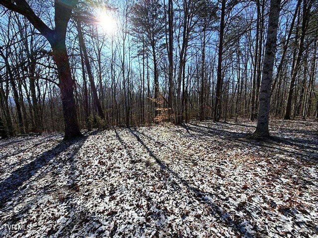 Photo of 15 Under The Sun Road, Cosby, TN 37722 (MLS # 9990718)