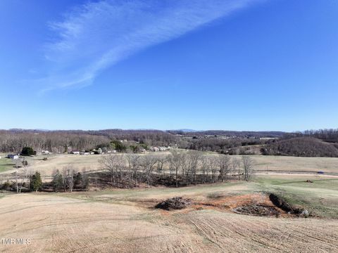 Photo of 16 Jackson Road, Jonesborough, TN 37659 (MLS # 9993863)