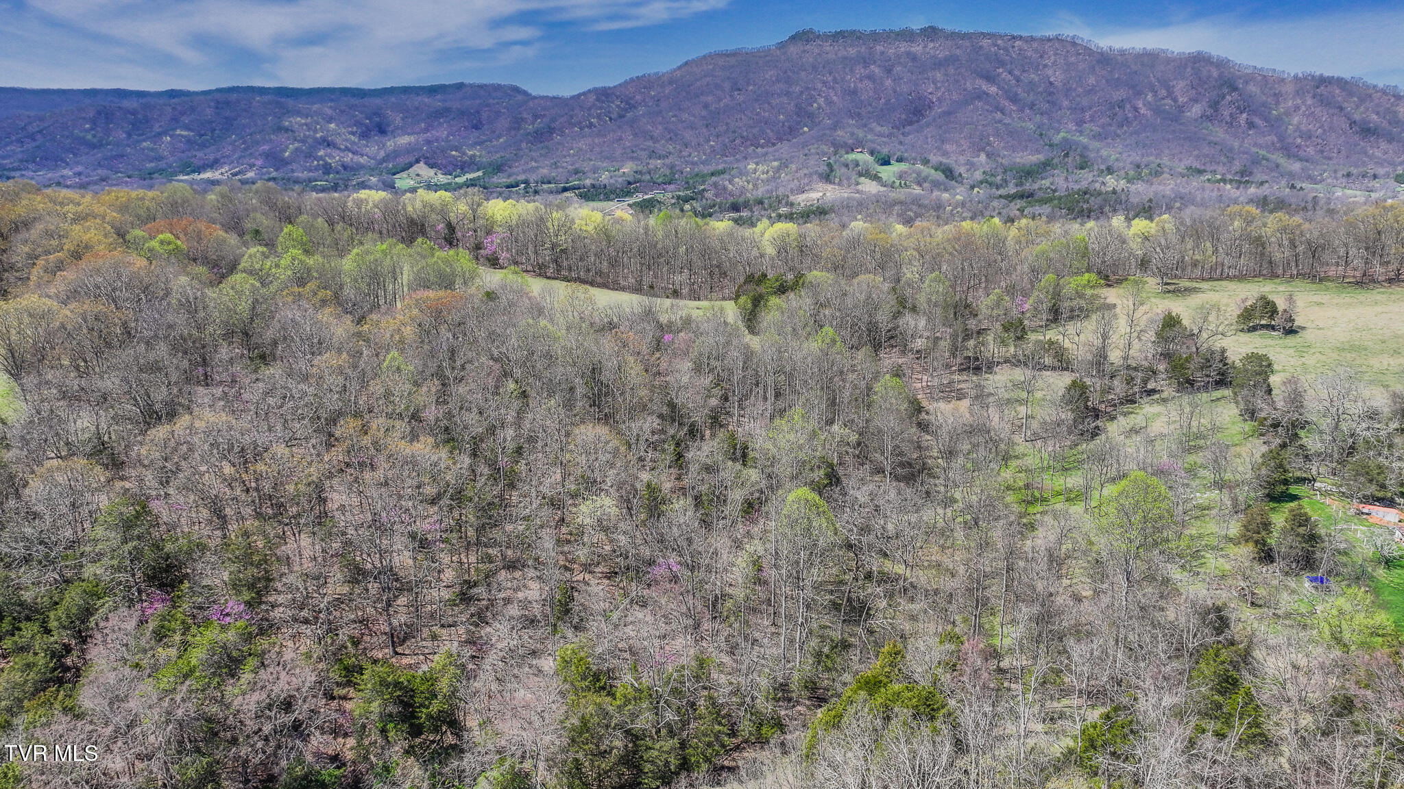 Tbd Pitt Loop, Chuckey, Tennessee image 7