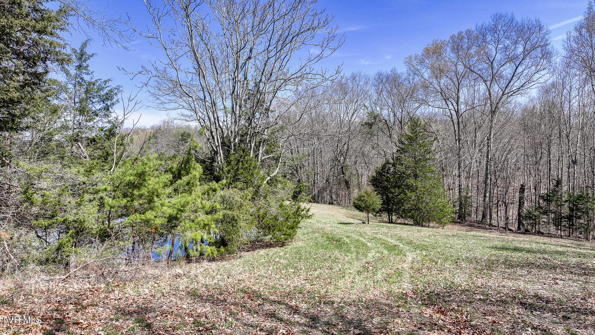 Tbd Pitt Loop, Chuckey, Tennessee image 17