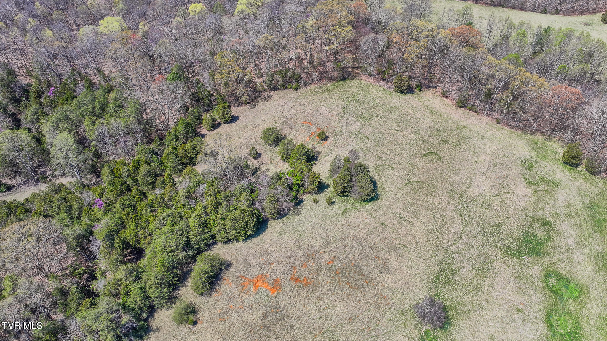 Tbd Pitt Loop, Chuckey, Tennessee image 5
