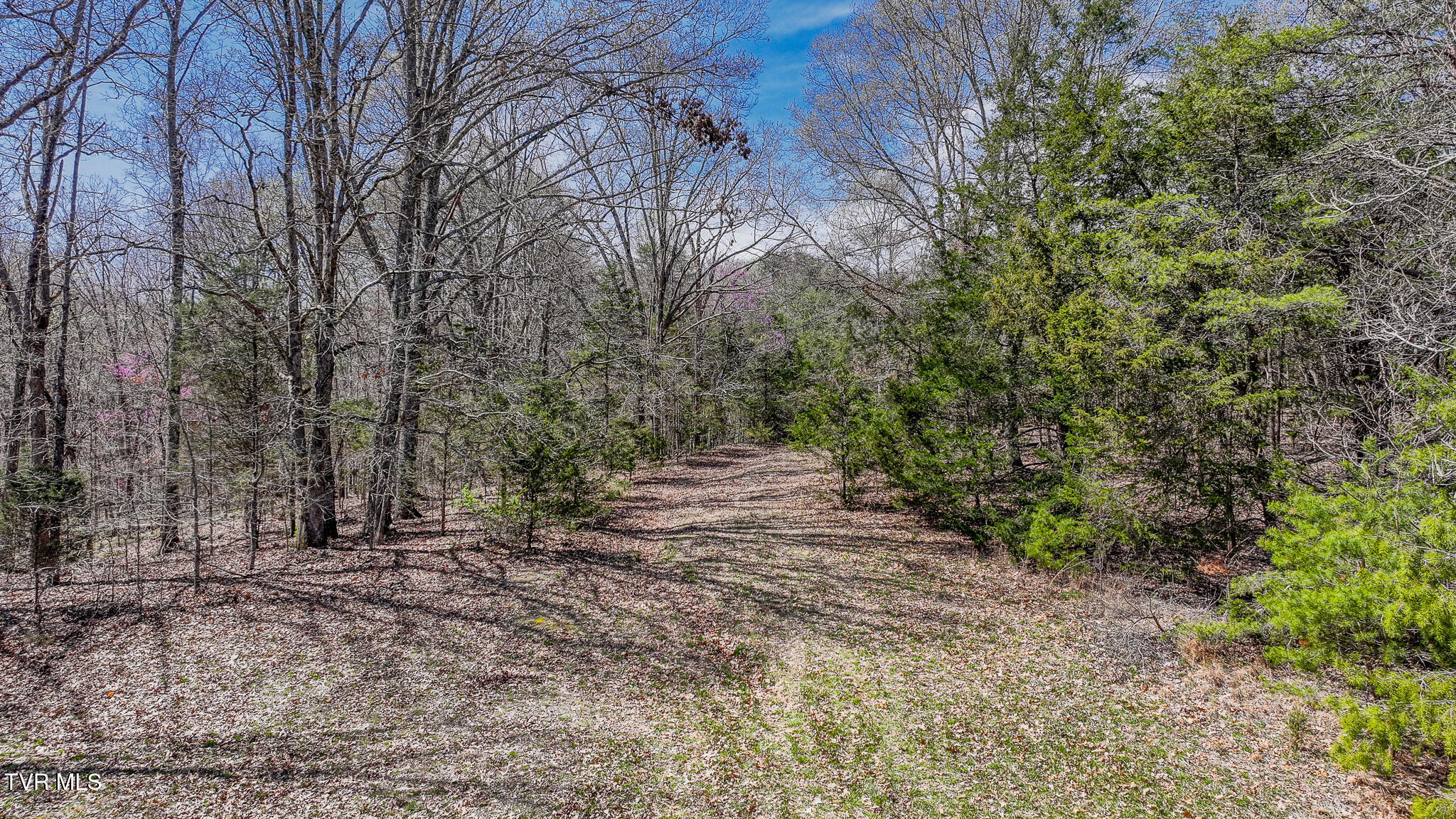 Tbd Pitt Loop, Chuckey, Tennessee image 15