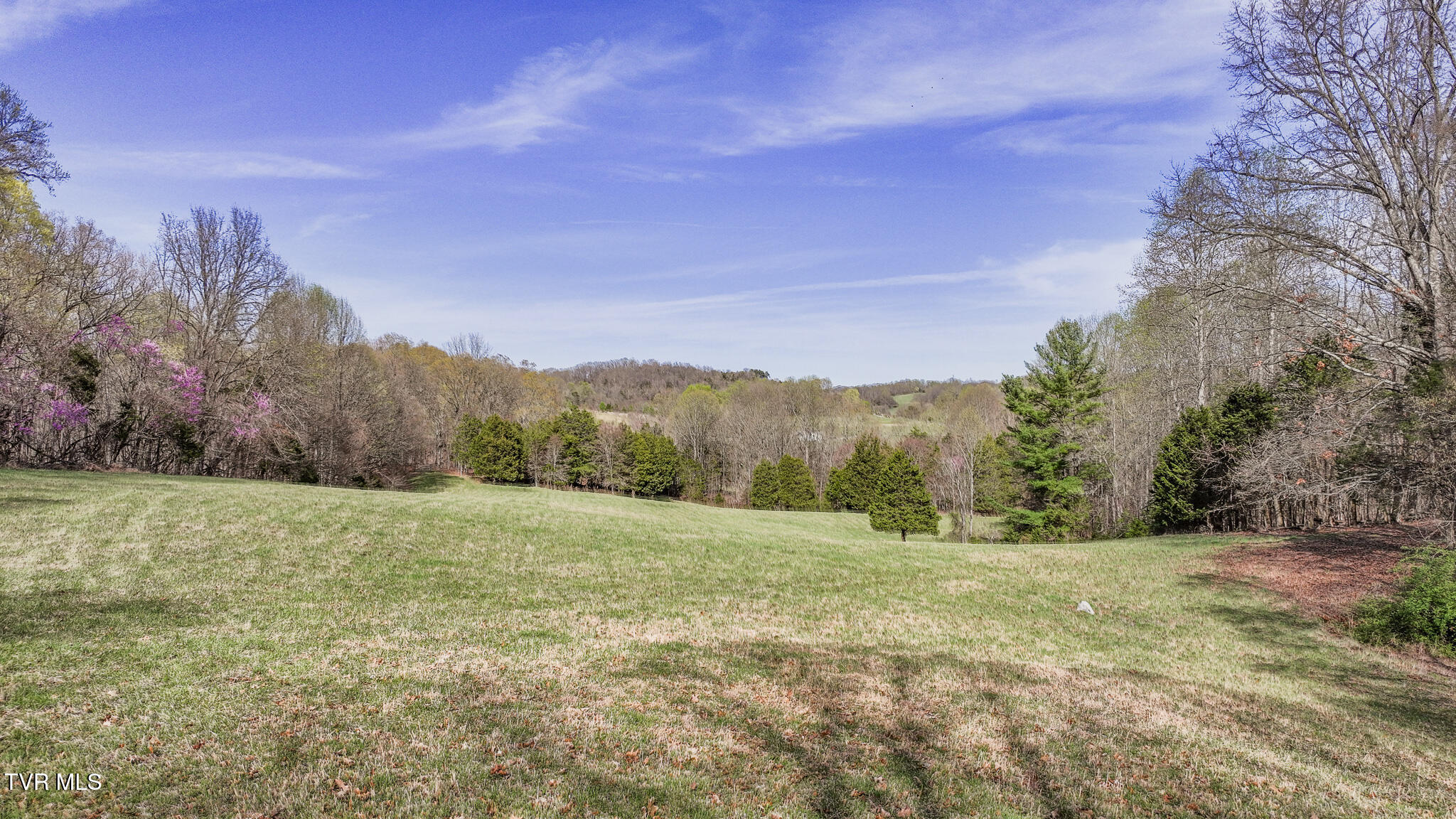Tbd Pitt Loop, Chuckey, Tennessee image 22