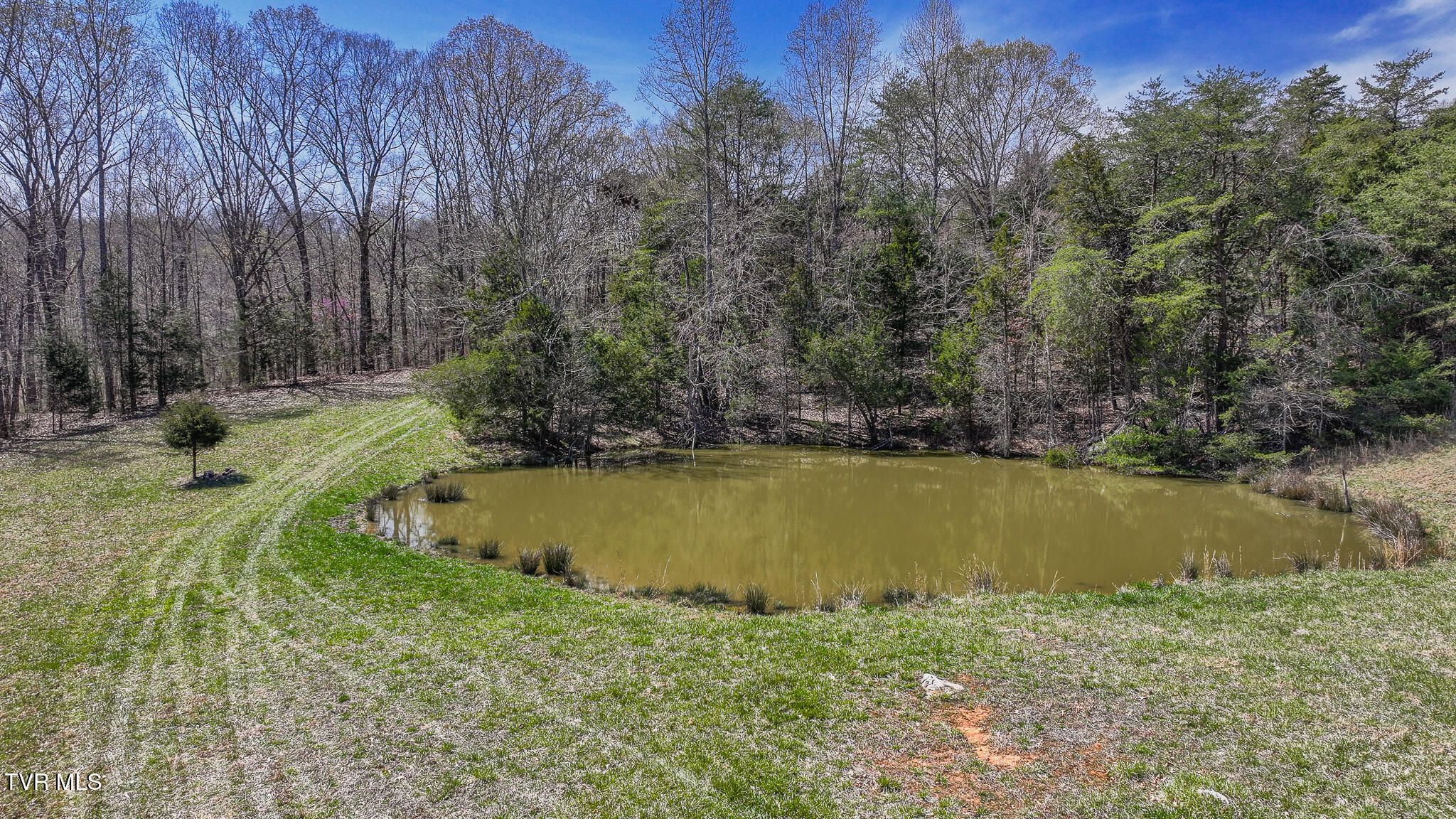 Tbd Pitt Loop, Chuckey, Tennessee image 14