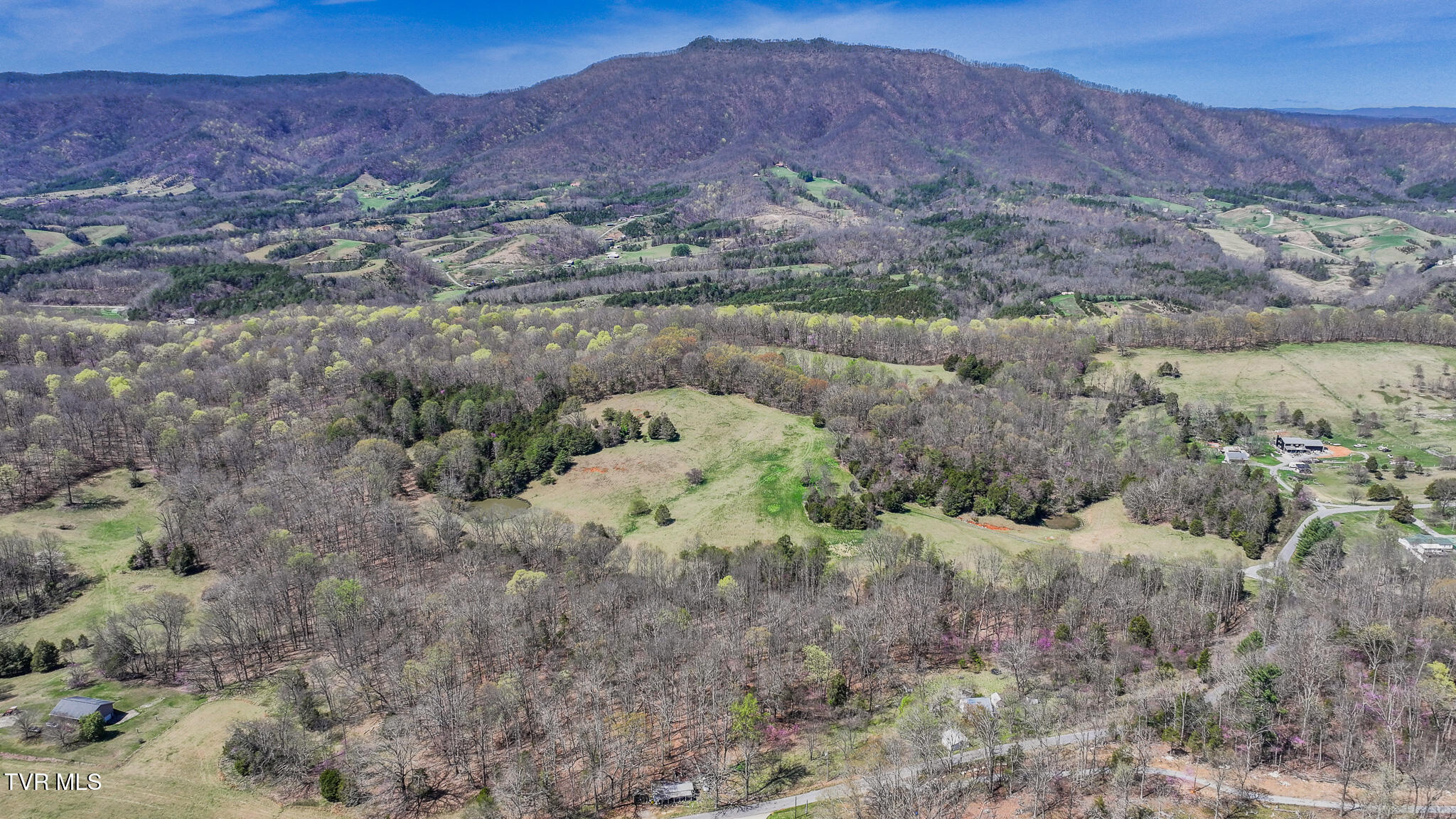 Tbd Pitt Loop, Chuckey, Tennessee image 2