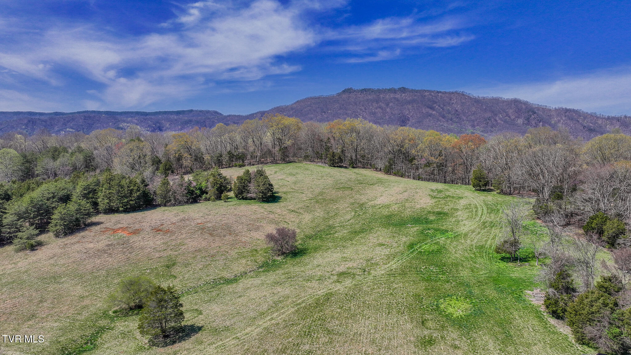 Tbd Pitt Loop, Chuckey, Tennessee image 13
