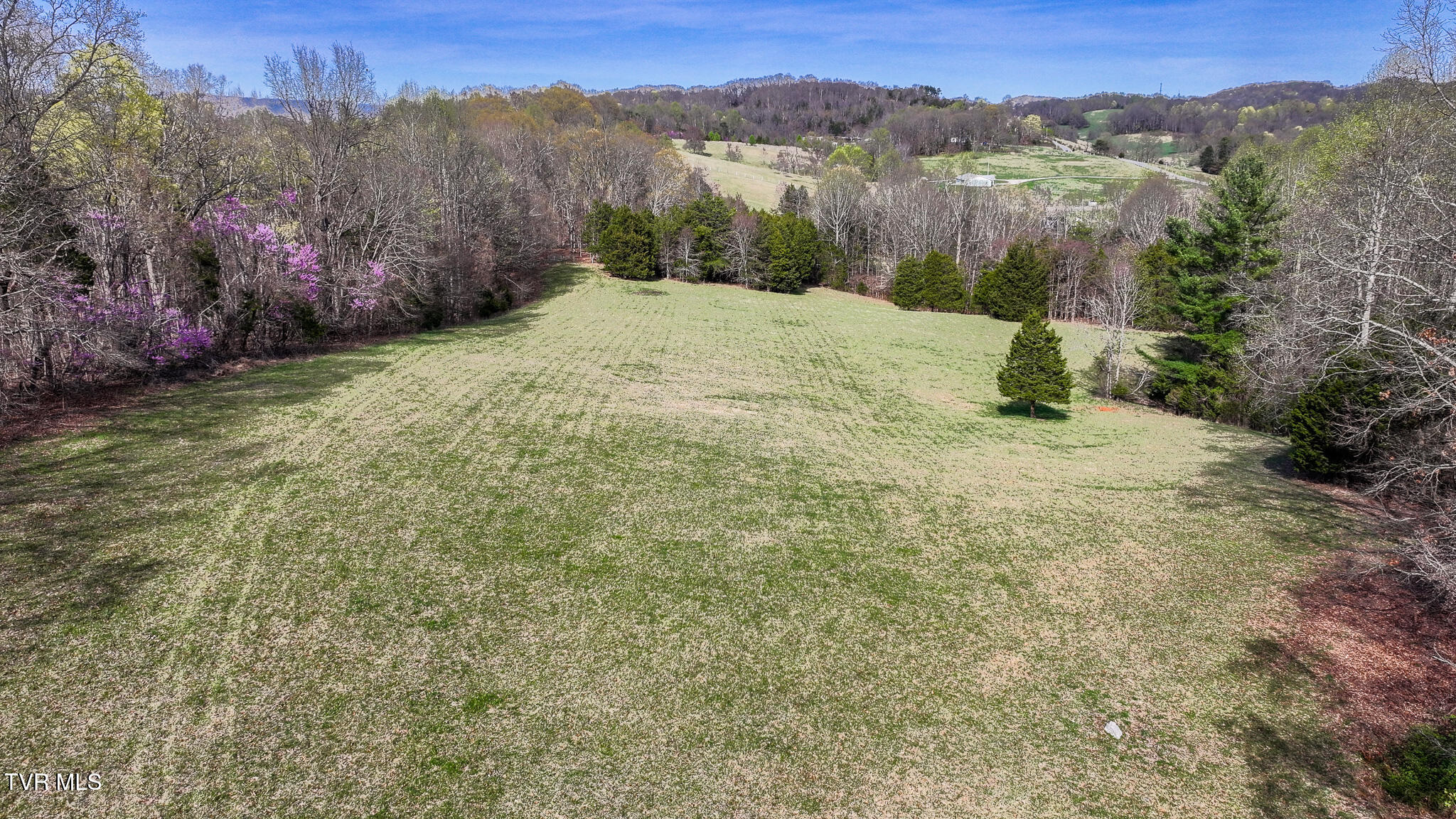 Tbd Pitt Loop, Chuckey, Tennessee image 18