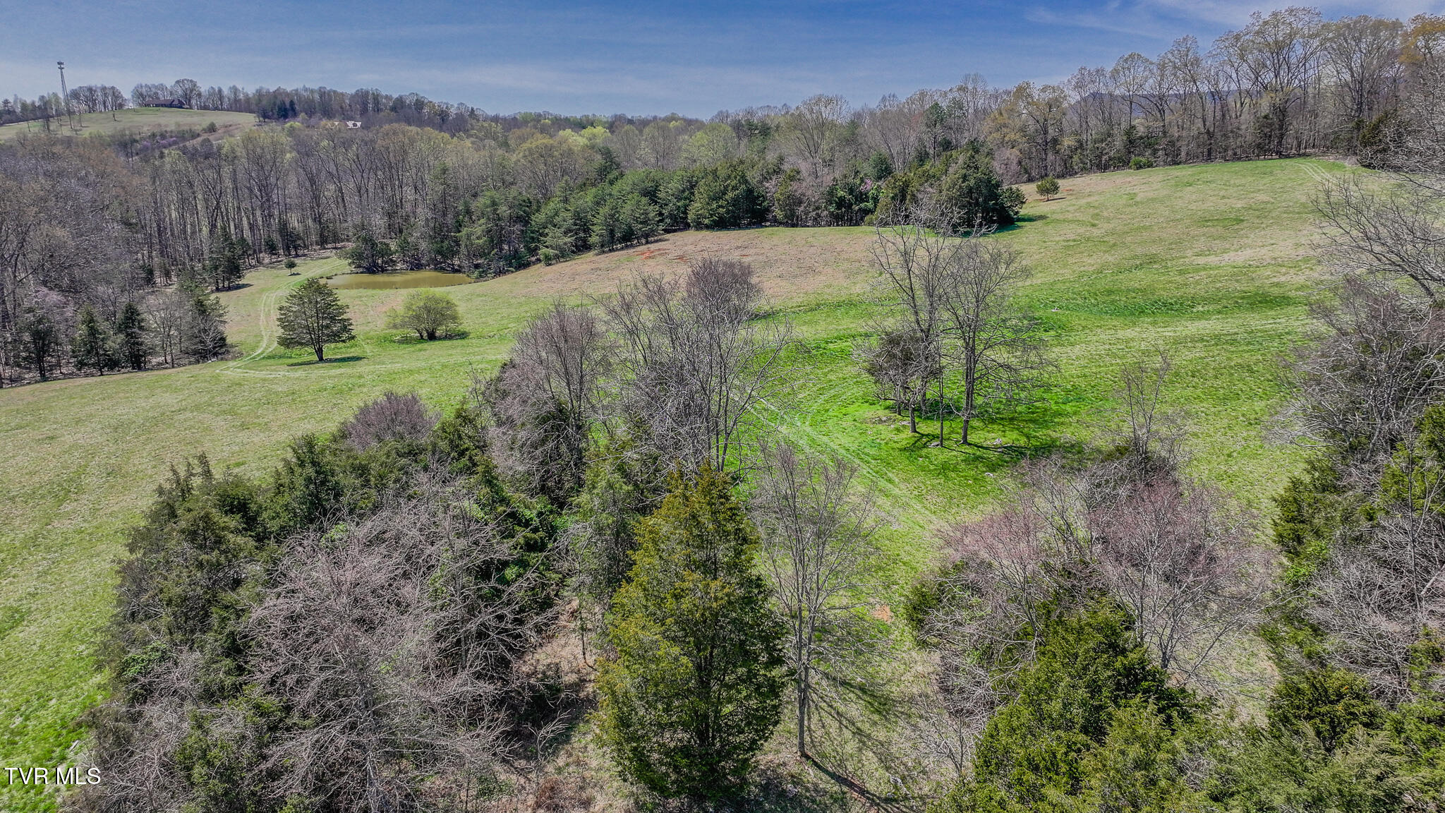 Tbd Pitt Loop, Chuckey, Tennessee image 9