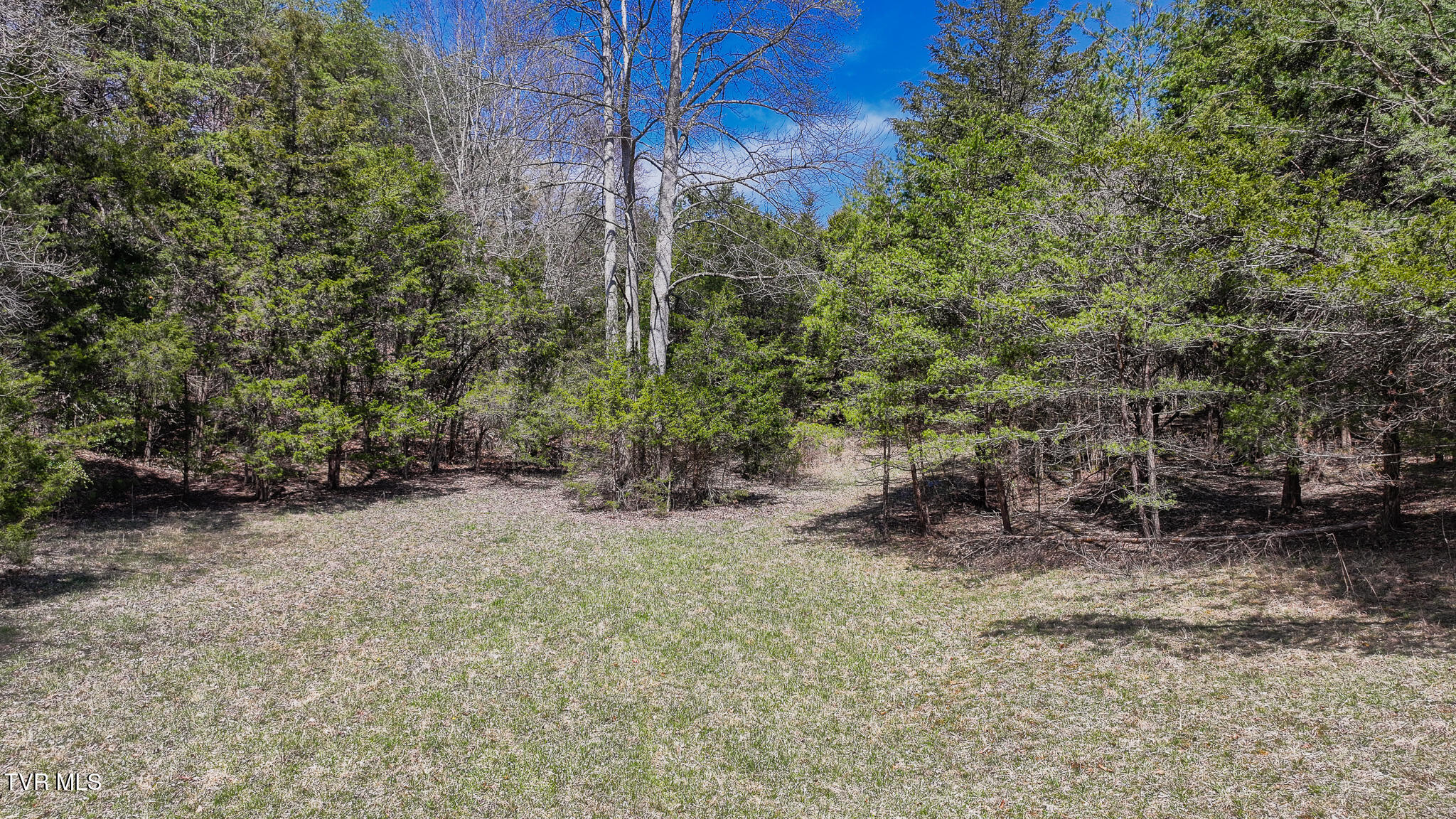Tbd Pitt Loop, Chuckey, Tennessee image 16