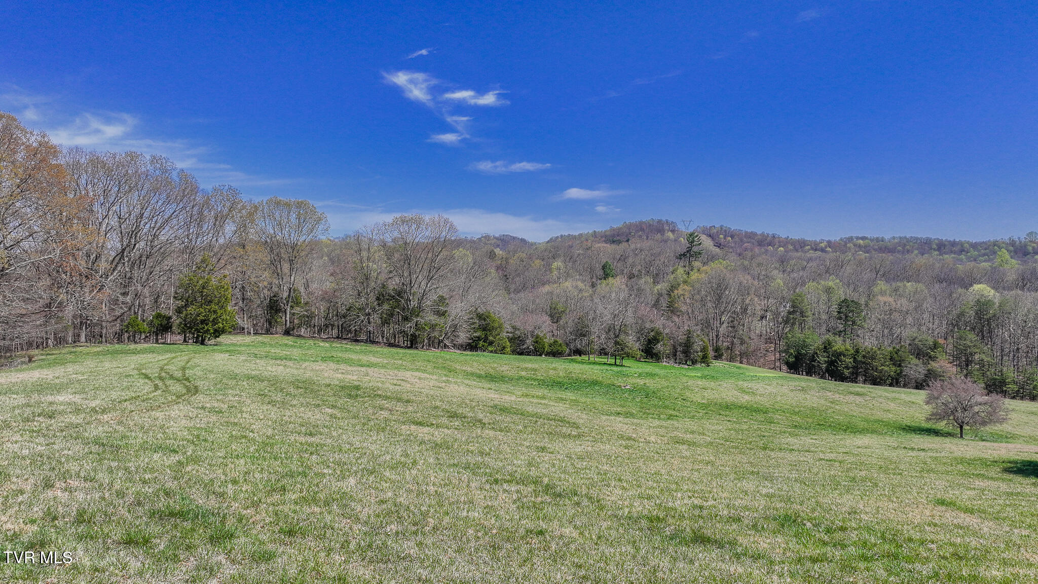 Tbd Pitt Loop, Chuckey, Tennessee image 3