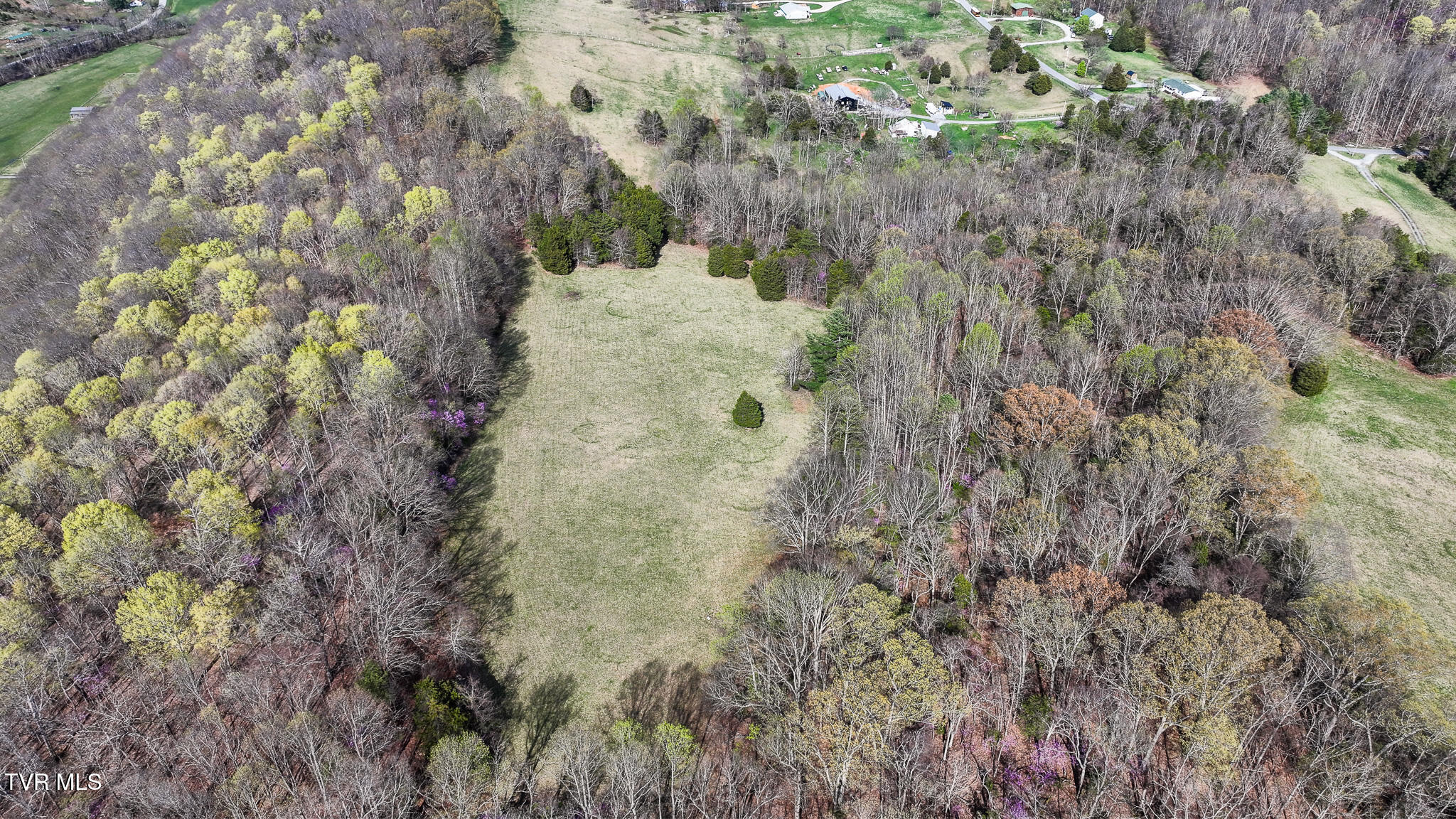Tbd Pitt Loop, Chuckey, Tennessee image 21