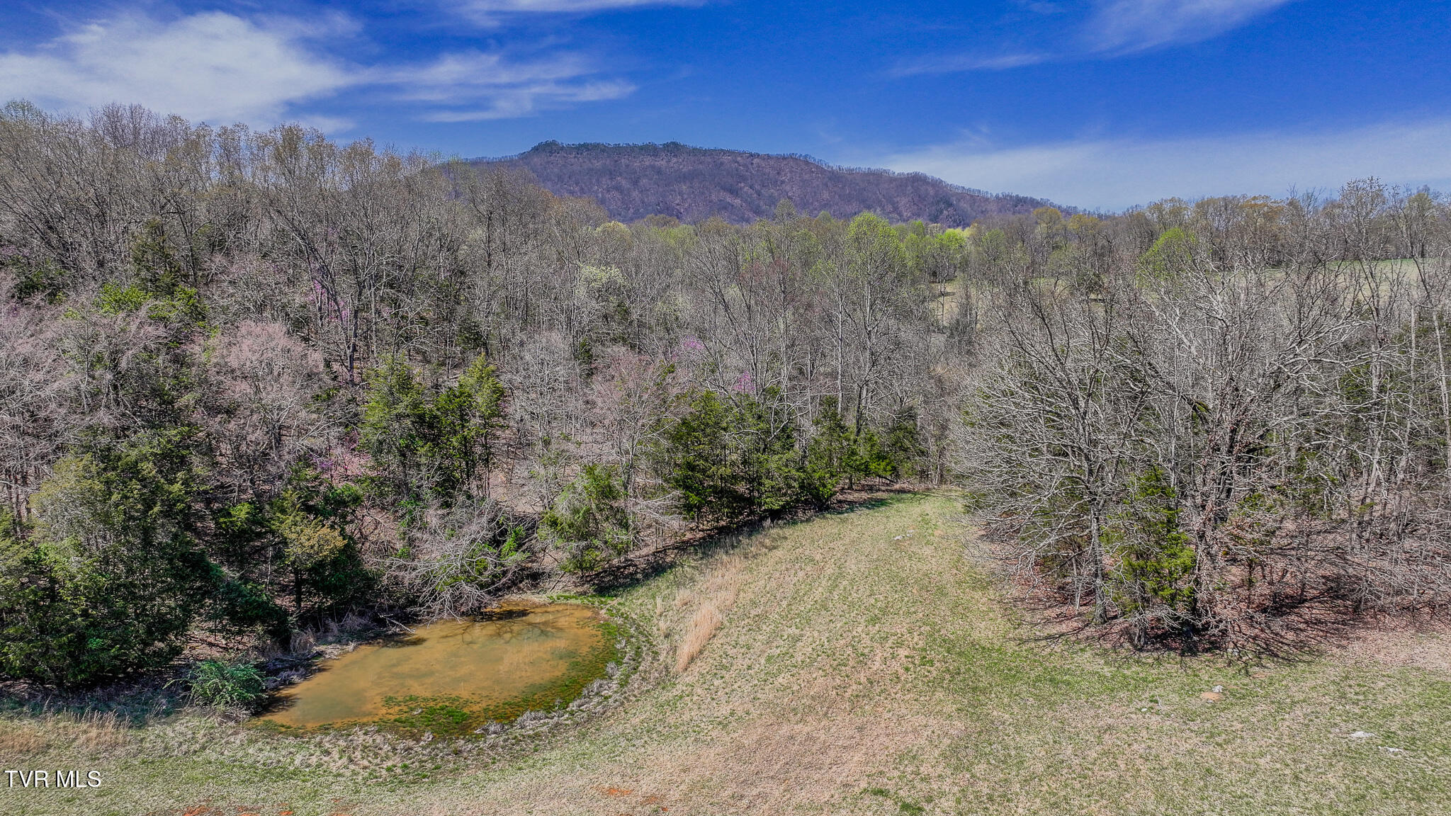 Tbd Pitt Loop, Chuckey, Tennessee image 12