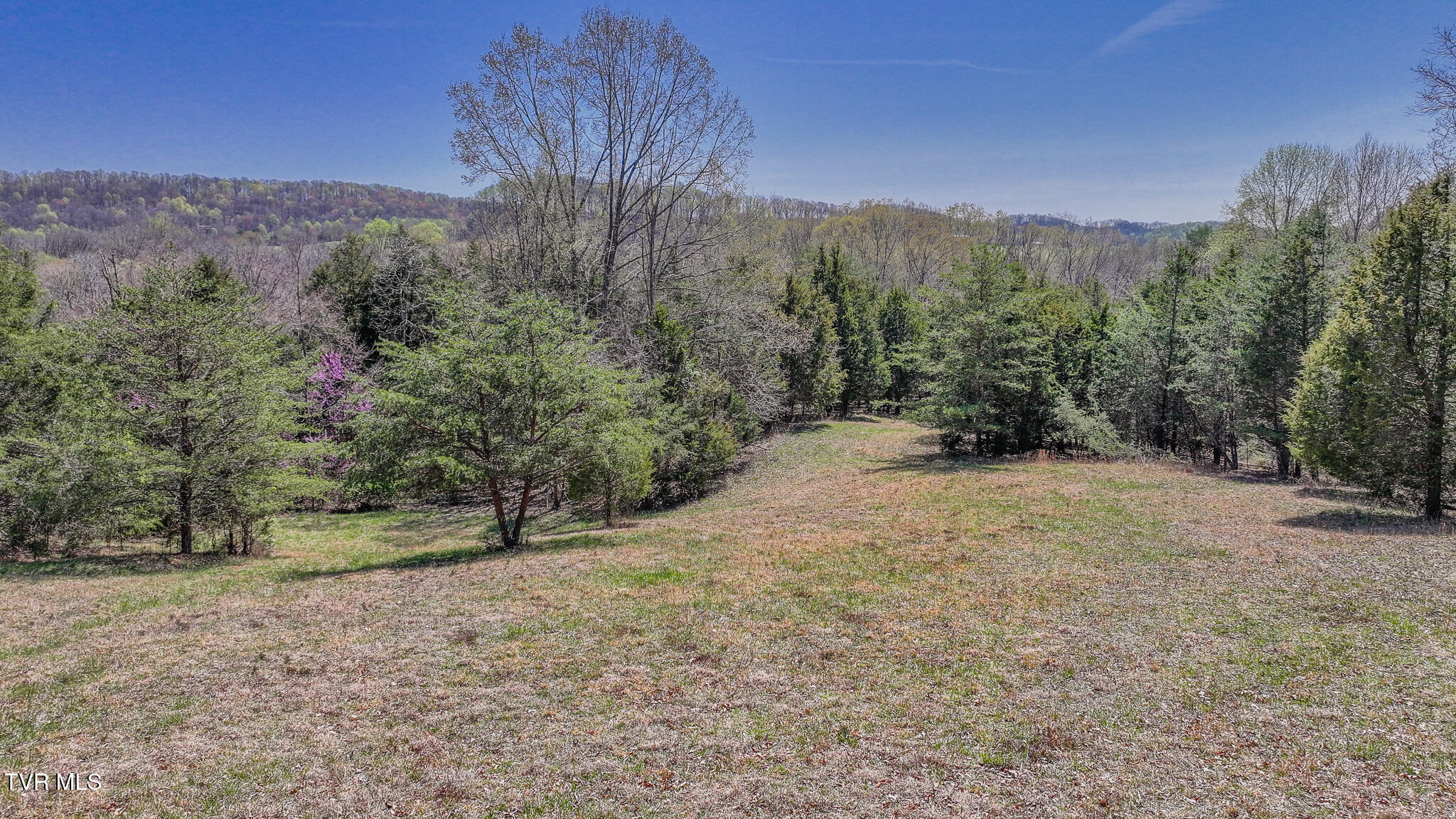 Tbd Pitt Loop, Chuckey, Tennessee image 4