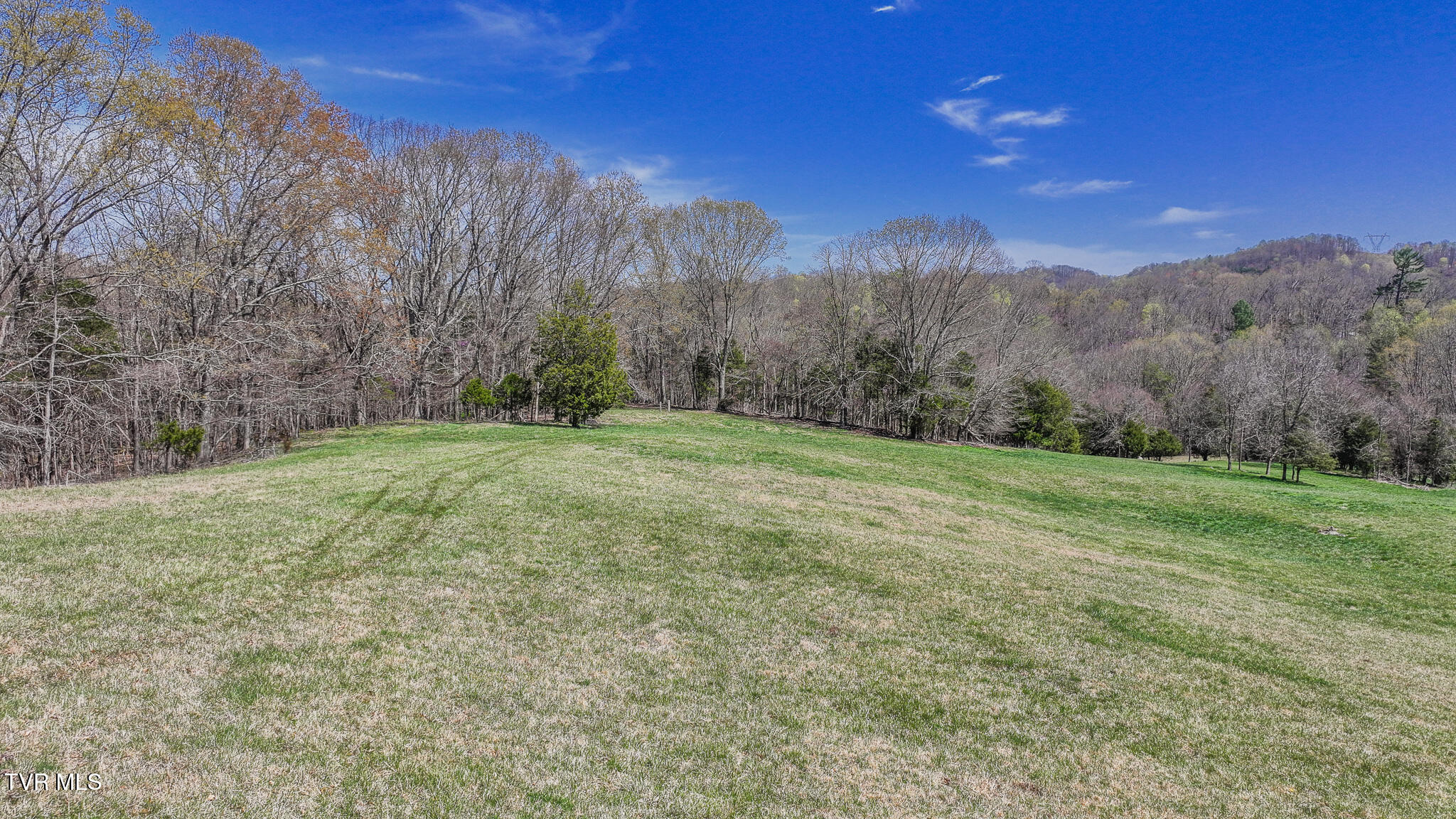 Tbd Pitt Loop, Chuckey, Tennessee image 8