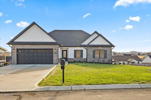 Photo of 3048 Sawgrass Drive, Jonesborough, TN 37659 (MLS # 9989523)