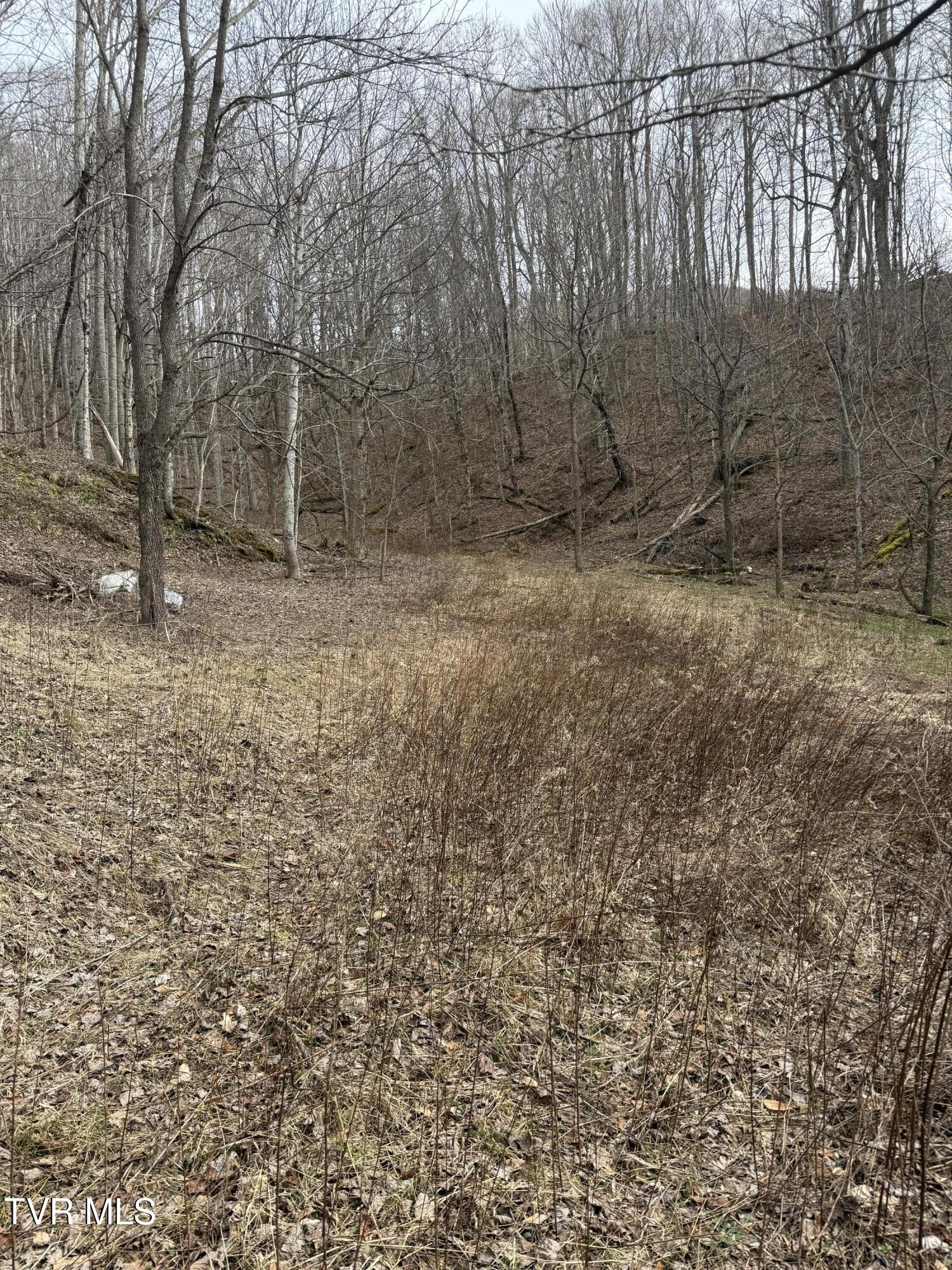 1108 Hwy 67 N, Trade, Tennessee image 6