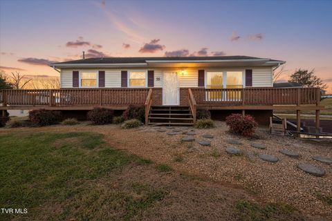 Photo of 35 Hermitage Street, Greeneville, TN 37745 (MLS # 9988837)
