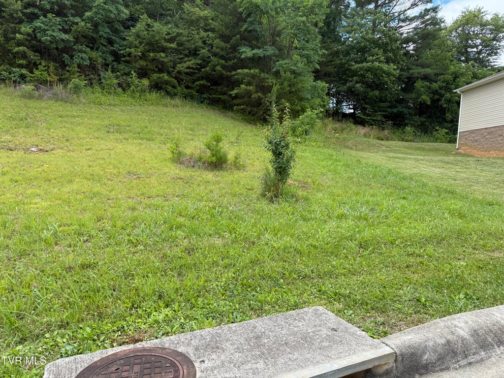 Photo of 142 Brighton Place, Bristol, TN 37620 (MLS # 9997320)