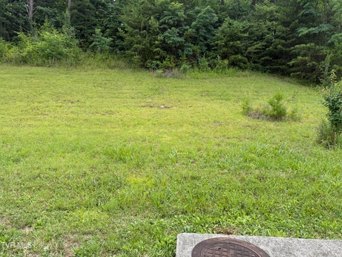 Vacant Land For Sale - 142 Brighton Place<br/> Bristol, TN 37620