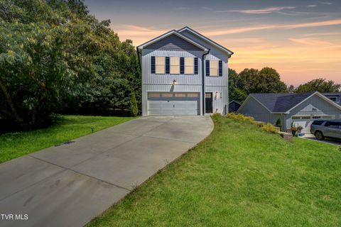 Photo of 872 Ava Drive, Kingsport, TN 37663 (MLS # 9990083)