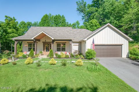 Photo of 112 Spice Hollow Road, Johnson City, TN 37604 (MLS # 9996439)
