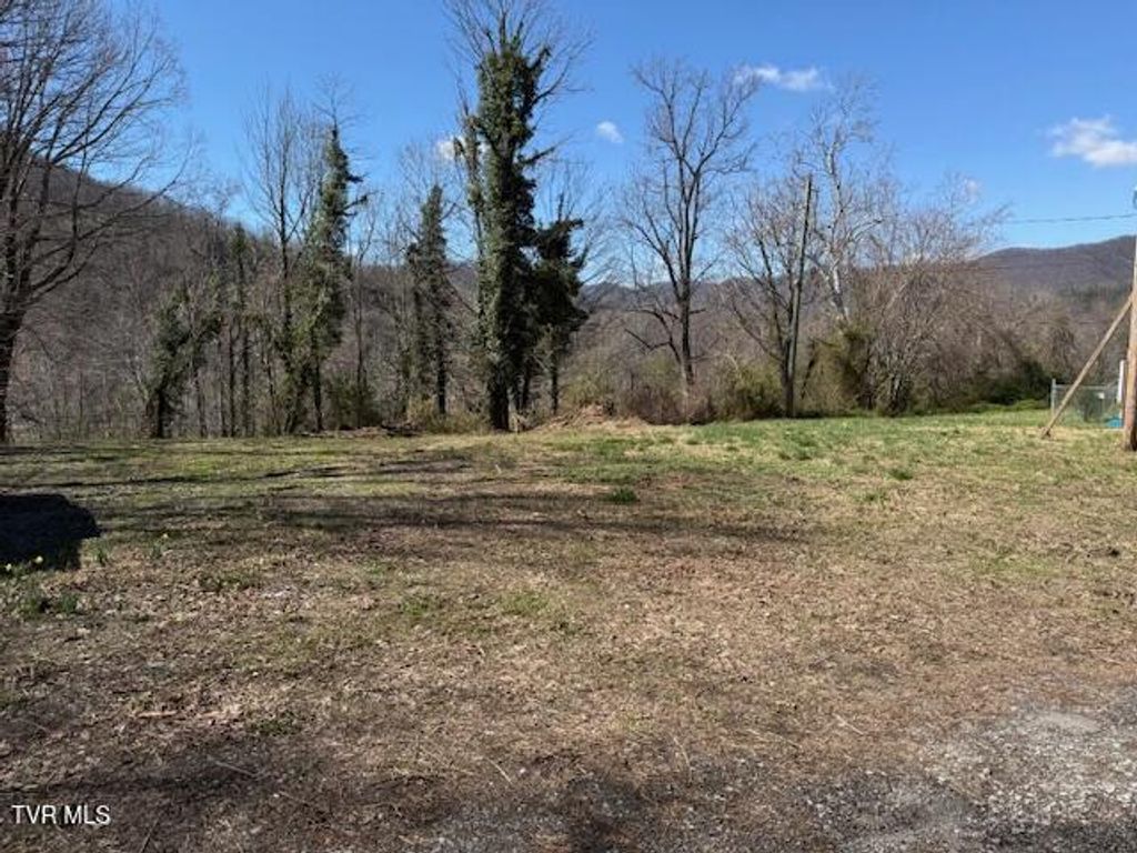 Photo of 133 Haines Road, Erwin, TN 37650 (MLS # 9992113)